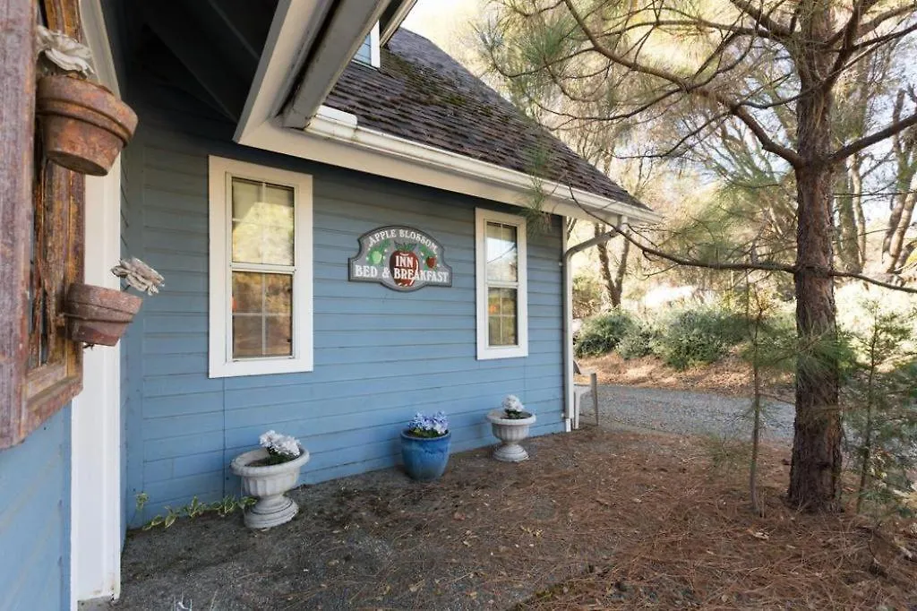 Apple Blossom Inn Yosemite-1